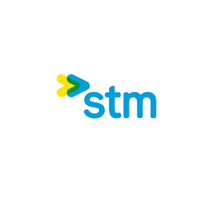 stm-2.png